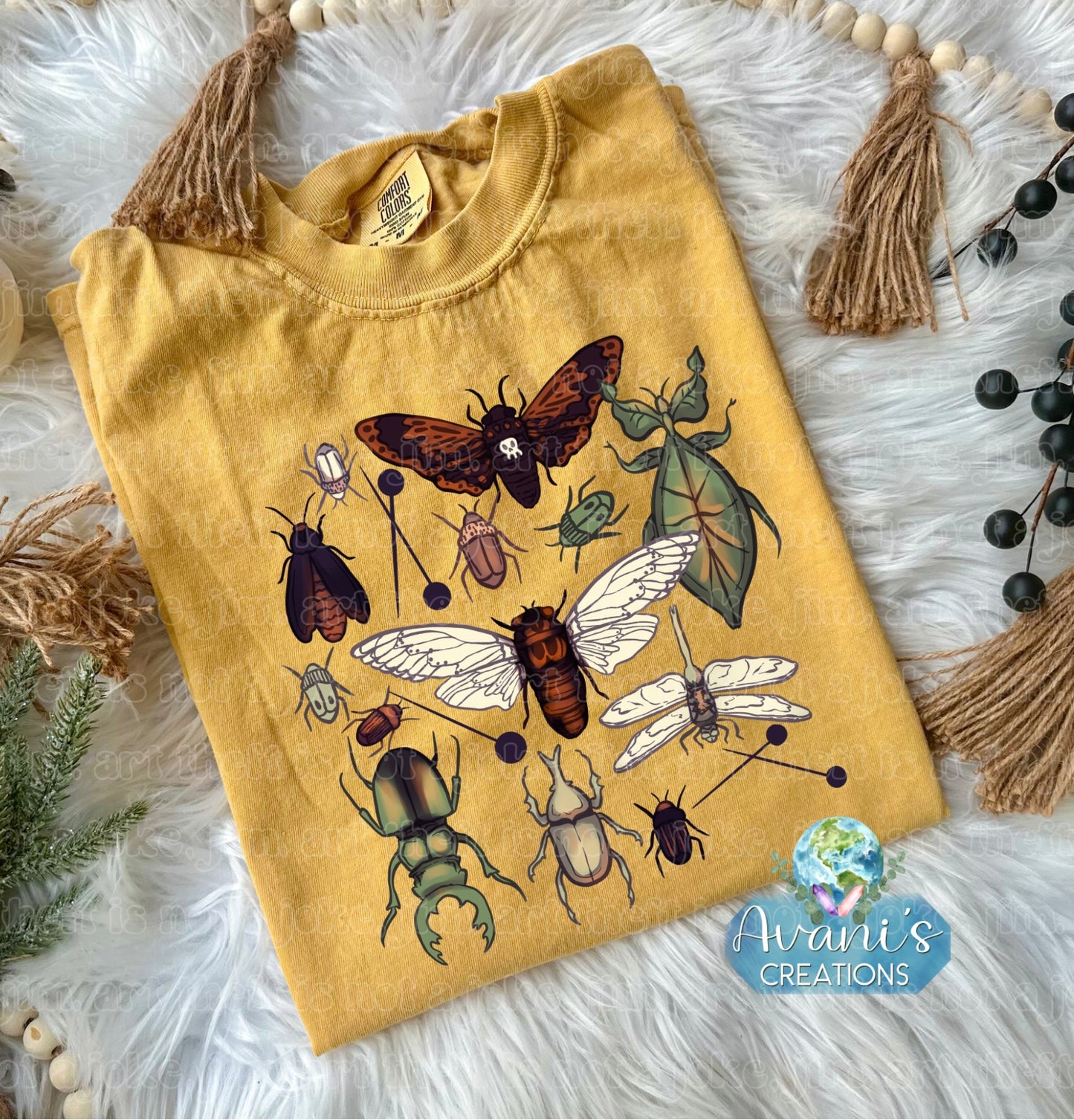 Insects
