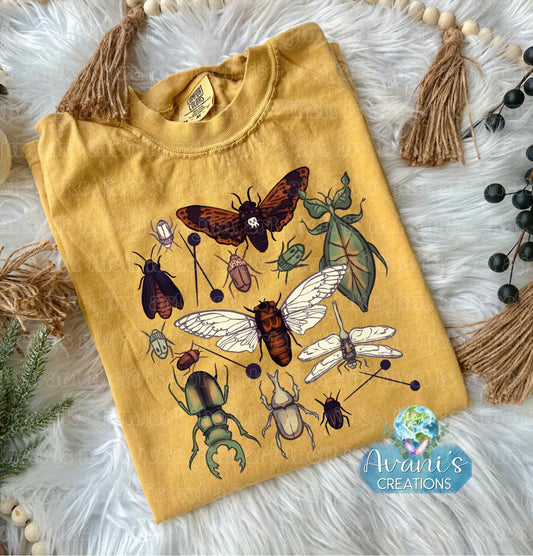 Insects