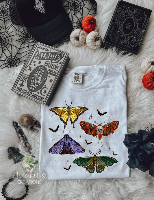 Fall Moths