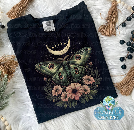 Moth & Moon