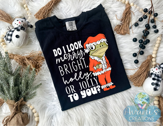 Do I Look Merry To You