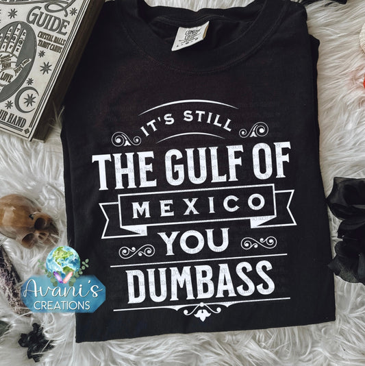 It’s Still The Gulf Of Mexico You Dumbass